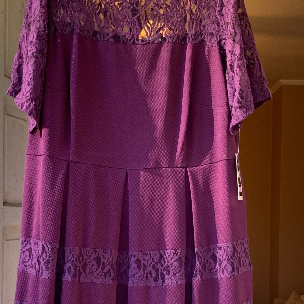 NWT Julian Taylor Plum Dress with Lace Detail Sz 22W